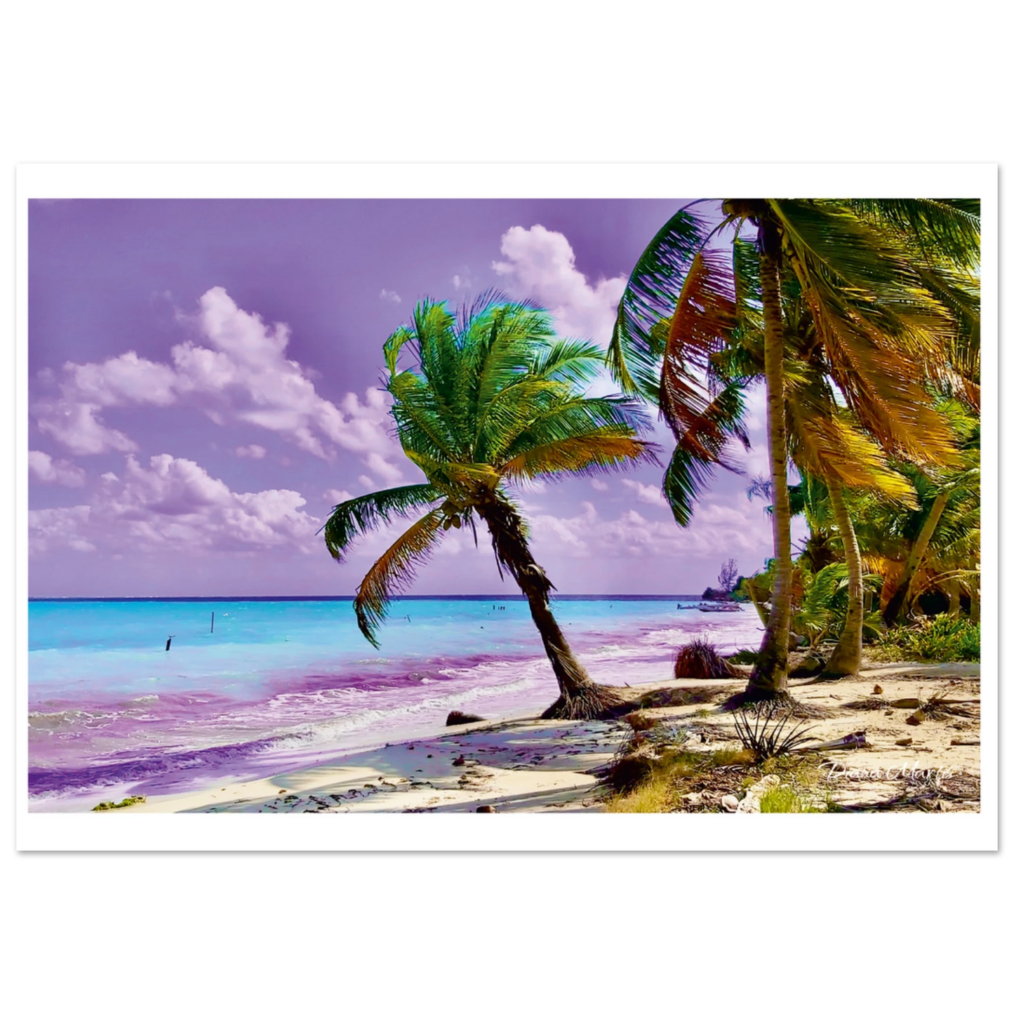 3d87ecc4-bd00-43e1-88f6-7356626a58f8