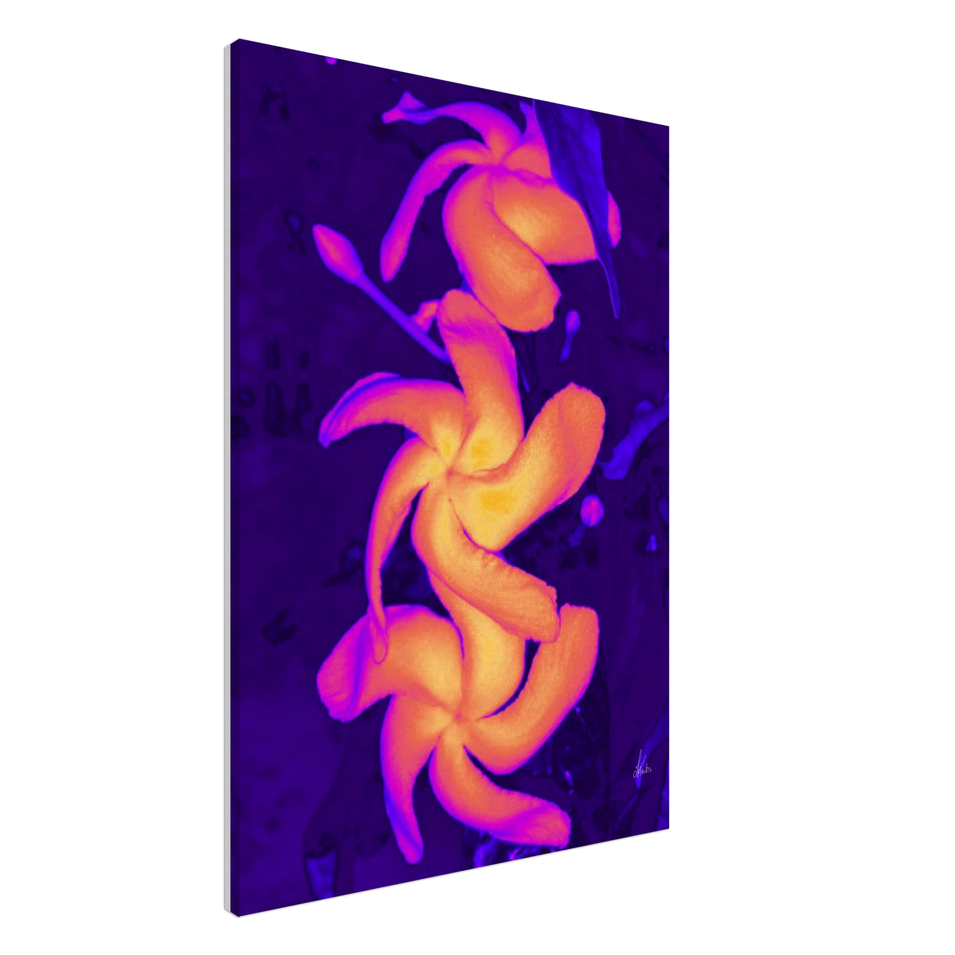 24096299-2fdd-4508-8dab-57de7a6c2864