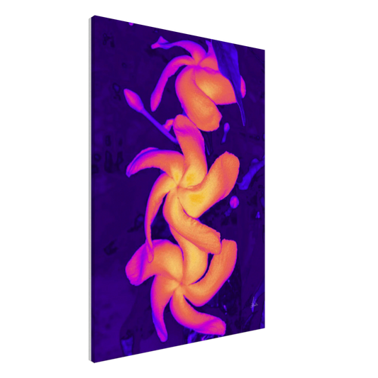 24096299-2fdd-4508-8dab-57de7a6c2864