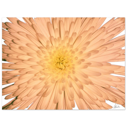 2d6f4427-183b-40c9-acf0-0fd8a1dab1e5