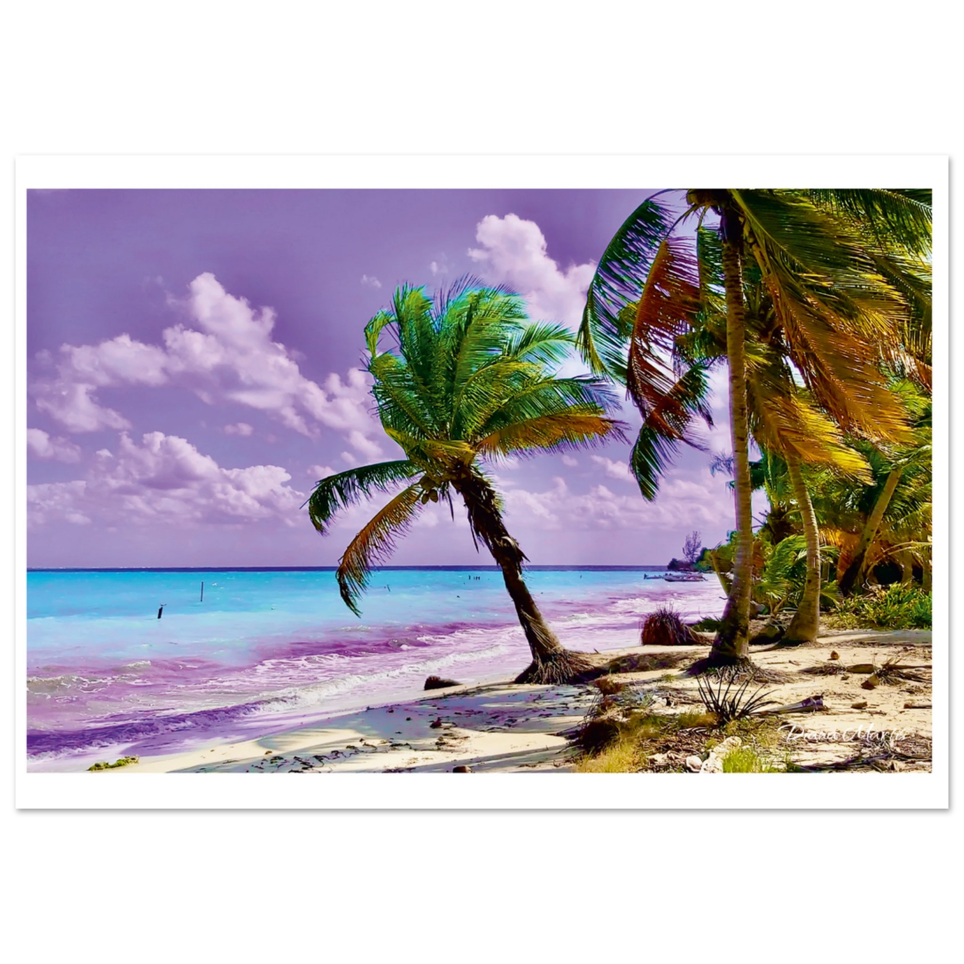 3d87ecc4-bd00-43e1-88f6-7356626a58f8
