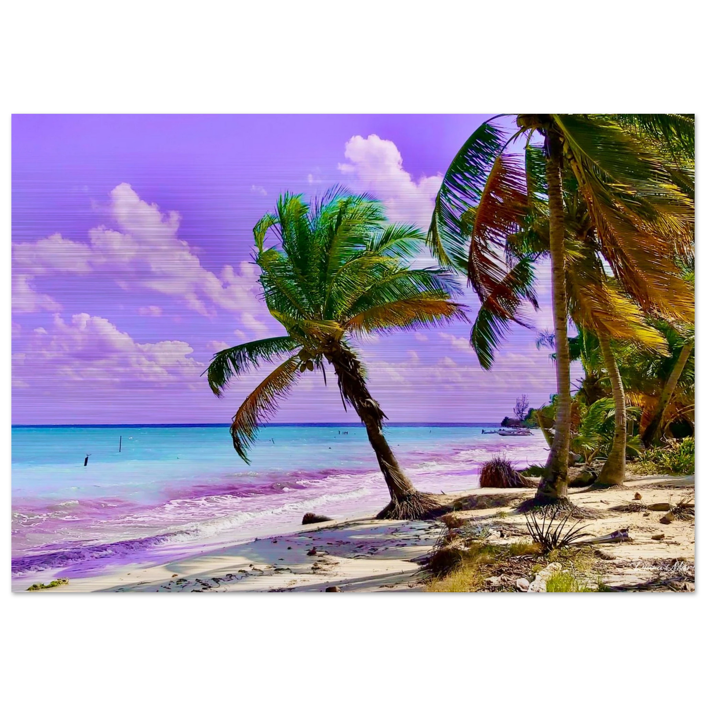 8b1de6aa-d4eb-4857-919f-a0bc6c487a5e